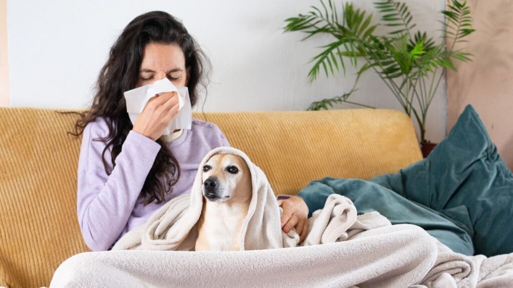 Reducing Allergens in Your Home with HVAC Solutions
